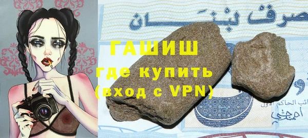 молекула духа Вяземский