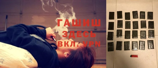 молекула духа Вяземский