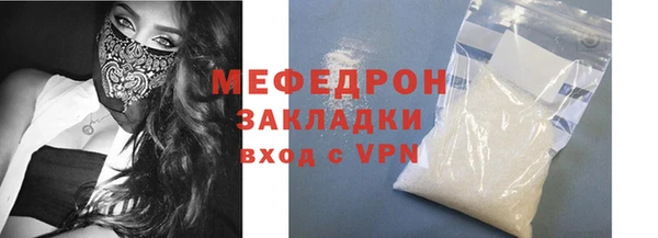 молекула духа Вяземский