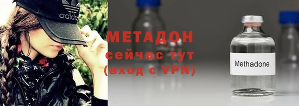 молекула духа Вяземский