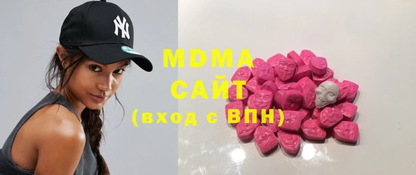 молекула духа Вяземский