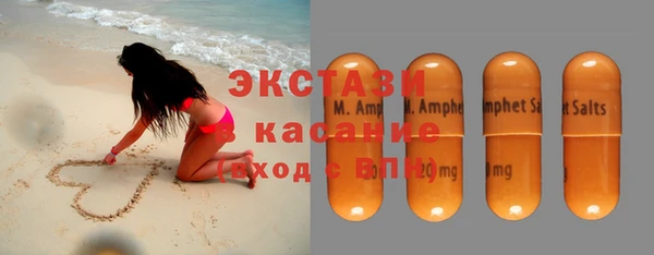 молекула духа Вяземский