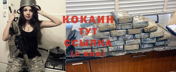 молекула духа Вяземский