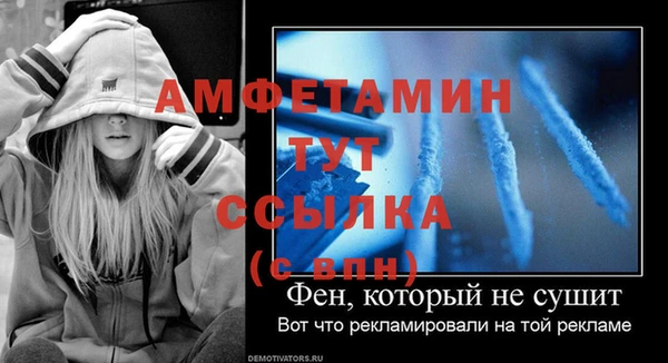 молекула духа Вяземский