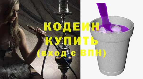 молекула духа Вяземский