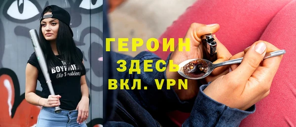 молекула духа Вяземский
