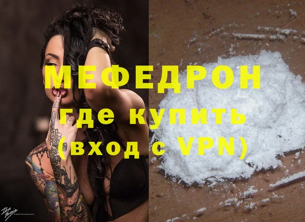 молекула духа Вяземский