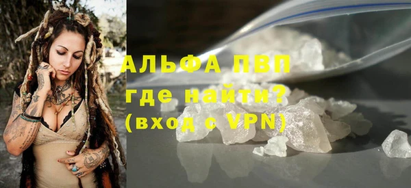молекула духа Вяземский