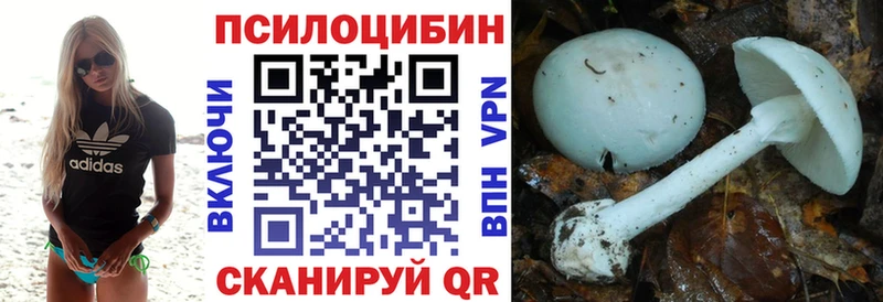 Галлюциногенные грибы Psilocybine cubensis  Купить  Ак-Довурак 
